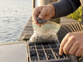 The Lead-Free Tackle Transition——What Anglers Should Know