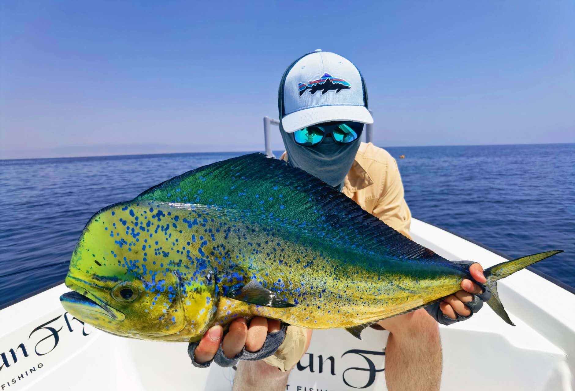 LIEKUN SmartBait Series – Bring Your Bait to Life